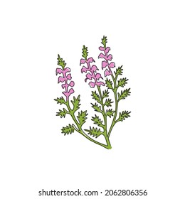 One continuous line drawing of beauty fresh common heather for home decor wall art poster print. Decorative calluna vulgaris flower for invitation card. Single line draw design vector illustration