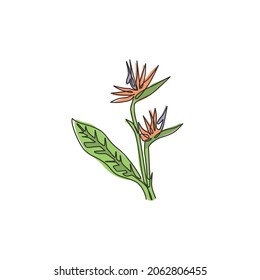 Una línea continua de dibujo belleza estrelitzia fresca para la decoración de arte casero de la pared estampado de afiches. El concepto de ave decorativa del paraíso floral para el parque verde. Ilustración vectorial de diseño de trazos de línea única moderna