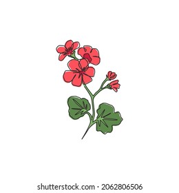 outline drawings of geraniums