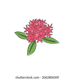 One continuous line drawing beauty fresh flowering plant for garden logo. Printable decorative ixora flower concept for home decor wall art poster. Modern single line draw design vector illustration