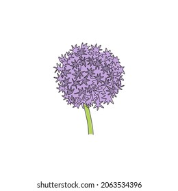 One continuous line drawing beauty fresh allium globemaster for home art wall decor poster print. Decorative giant onion flower concept for greeting card. Single line draw design vector illustration