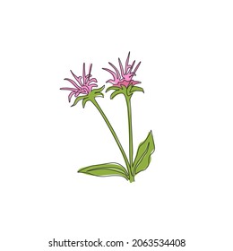 One continuous line drawing beauty fresh bergamot monarda for home decor wall art poster print. Decorative bee balm flower concept for greeting card. Trendy single line draw design vector illustration