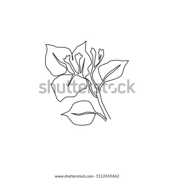 One Continuous Line Drawing Beauty Fresh Stock Vector Royalty Free 1512459662
