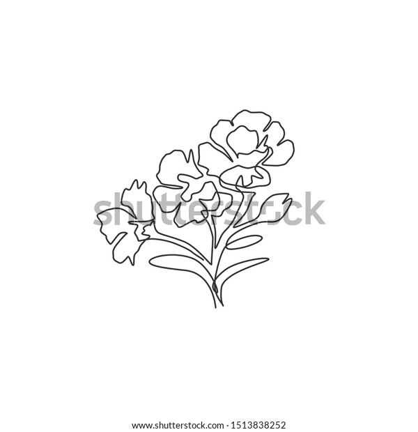 One Continuous Line Drawing Beauty Fresh Stock Vector Royalty Free