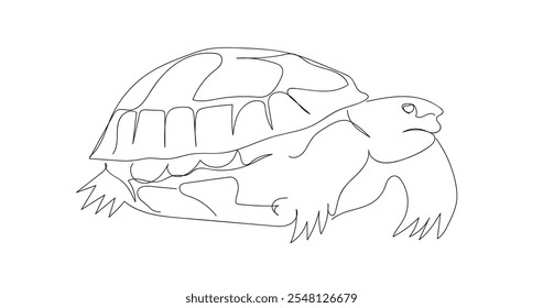 One continuous line drawing of big cute tortoise in Galapagos island. Safari zoo concept. Wild animal national park conservation. Hand made vector not AI. 