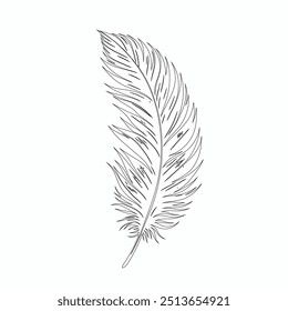 One continuous line drawing of bird feather. Writer and poetry symbol in simple linear style, Continuous hand drawn for bird feather on white background