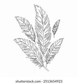 One continuous line drawing of bird feather. Writer and poetry symbol in simple linear style, Continuous hand drawn for bird feather on white background