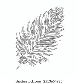 One continuous line drawing of bird feather. Writer and poetry symbol in simple linear style, Continuous hand drawn for bird feather on white background