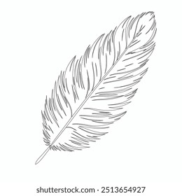 One continuous line drawing of bird feather. Writer and poetry symbol in simple linear style, Continuous hand drawn for bird feather on white background