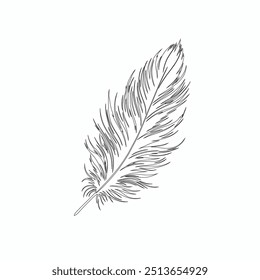 One continuous line drawing of bird feather. Writer and poetry symbol in simple linear style, Continuous hand drawn for bird feather on white background