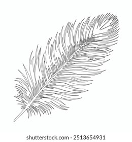 One continuous line drawing of bird feather. Writer and poetry symbol in simple linear style, Continuous hand drawn for bird feather on white background