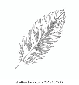 One continuous line drawing of bird feather. Writer and poetry symbol in simple linear style, Continuous hand drawn for bird feather on white background