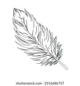 Eine durchgehende Linie Zeichnung der Vogelfeder. Schriftsteller und Poesie-Symbol-Logo in einfachen linearen Stil, Feder, Vogel, Feder, Feder, Feder, Feder, Flügel, Flaum. Einzelbild, handgezeichnet