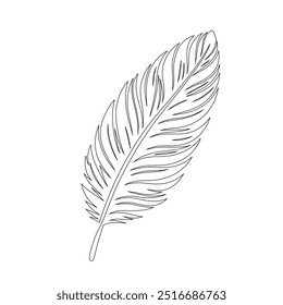 One continuous line drawing of bird feather. Writer and poetry symbol logo in simple linear style, feather, bird, quill, plume, pen, wing, fluff. Isolated image hand drawn