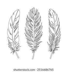 Un dibujo de línea continua de plumas de pájaro. Logotipo del símbolo del escritor y de la poesía en estilo lineal simple, pluma, pájaro, pluma, pluma, pluma, ala, pelusa. Imagen aislada dibujada a mano