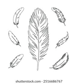 Um desenho de linha contínua de pena de pássaro. Logotipo do símbolo do escritor e da poesia no estilo linear simples, pena, pássaro, pena, pluma, caneta, asa, fluff. Imagem isolada desenhada à mão