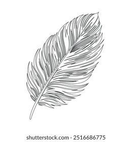 One continuous line drawing of bird feather. Writer and poetry symbol logo in simple linear style, feather, bird, quill, plume, pen, wing, fluff. Isolated image hand drawn