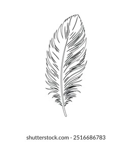 One continuous line drawing of bird feather. Writer and poetry symbol logo in simple linear style, feather, bird, quill, plume, pen, wing, fluff. Isolated image hand drawn