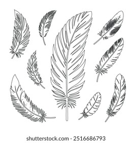 One continuous line drawing of bird feather. Writer and poetry symbol logo in simple linear style, feather, bird, quill, plume, pen, wing, fluff. Isolated image hand drawn