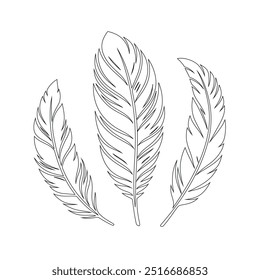 One continuous line drawing of bird feather. Writer and poetry symbol logo in simple linear style, feather, bird, quill, plume, pen, wing, fluff. Isolated image hand drawn