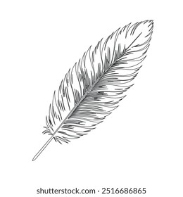 Um desenho de linha contínua de pena de pássaro. Logotipo do símbolo do escritor e da poesia no estilo linear simples, pena, pássaro, pena, pluma, caneta, asa, fluff. Imagem isolada desenhada à mão