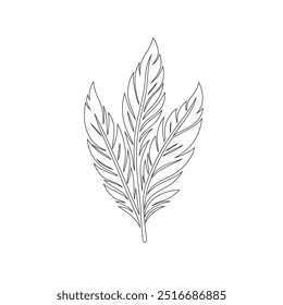One continuous line drawing of bird feather. Writer and poetry symbol logo in simple linear style, feather, bird, quill, plume, pen, wing, fluff. Isolated image hand drawn