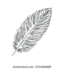 One continuous line drawing of bird feather. Writer and poetry symbol logo in simple linear style, feather, bird, quill, plume, pen, wing, fluff. Isolated image hand drawn