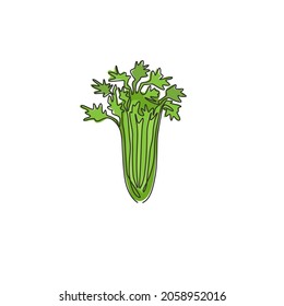 One continuous line drawing of bunch healthy organic green celery for farm logo identity. Fresh marshland plant concept for vegetable icon. Modern single line draw design vector graphic illustration