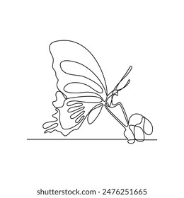 One continuous line drawing of 
Butterflies are flying and will land on flowers vector illustration. Animal themes design concept in simple linear style. Beautiful animal with variance body colors.