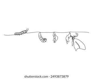 One continuous line drawing butterfly life cycle. Caterpillar process into butterfly simple outline vector illustration. Butterfly metamorphosis