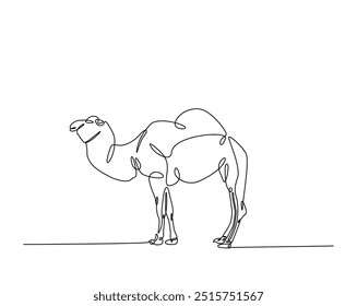 Una línea continua dibujando Camel caminando en la ilustración del desierto. Diseño dibujado a mano de camello.