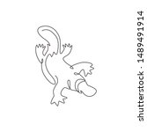 One continuous line drawing of cute platypus for logo identity. Australian mammal animal mascot concept for national conservation park icon. Trendy single line draw design vector graphic illustration