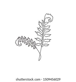 One continuous line drawing of cute tropical leaves fern plant. Printable decorative exotic houseplant concept for home wall decor ornament. Modern single line draw design graphic vector illustration