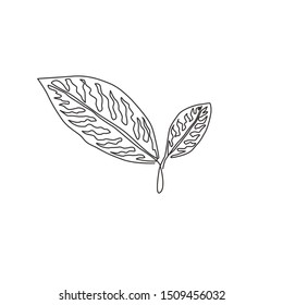 One continuous line drawing of cute tropical leaves aglaonema plant. Printable decorative houseplant concept for home wall decor ornament. Modern single line draw design graphic vector illustration