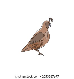 One continuous line drawing of cute California quail for farm logo identity. Highly sociable bird mascot concept for national park icon. Modern single line draw design graphic vector illustration