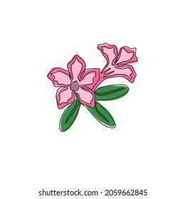 One continuous line drawing of fresh beauty adenium for garden logo. Printable poster decorative desert rose flowers concept home wall decor. Modern single line draw design graphic vector illustration