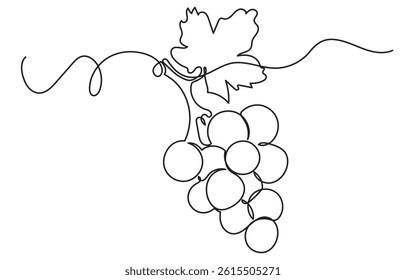 One continuous line drawing of a grape bunch, minimalist and clean. A simple, line art grape isolated on a white background vegan symbol in linear doodle style. Great for organic food designs vector.