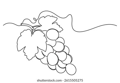 One continuous line drawing of a grape bunch, minimalist and clean. A simple, line art grape isolated on a white background vegan symbol in linear doodle style. Great for organic food designs vector.