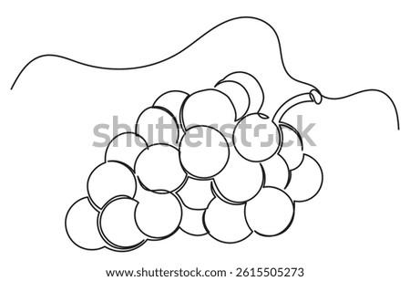 One continuous line drawing of a grape bunch, minimalist and clean. A simple, line art grape isolated on a white background vegan symbol in linear doodle style. Great for organic food designs vector.