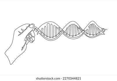 Un dibujo continuo de la línea de la mano sujetando el ADN. ilustración vectorial