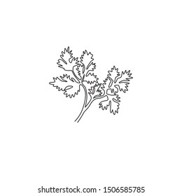 One continuous line drawing of healthy organic coriander leaf for farm logo identity. Fresh Chinese parsley concept for vegetable icon. Modern single line draw design graphic vector illustration