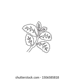 One continuous line drawing of healthy organic mint leaves for farm logo identity. Fresh mentha plant concept for plantation icon. Modern single line draw design vector graphic illustration