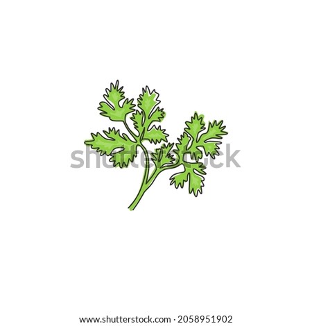One continuous line drawing of healthy organic coriander leaf for farm logo identity. Fresh Chinese parsley concept for vegetable icon. Modern single line draw design graphic vector illustration