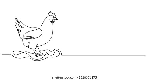 one continuous line drawing of a hen.one line drawing of a broiler.single line vector illustration.isolated white background