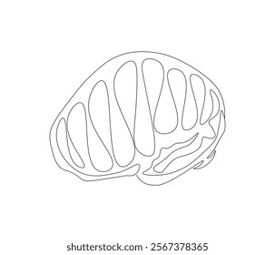 One continuous line drawing of human brain. Single line of human brain vector illustration