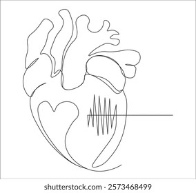 One continuous line drawing of human heart organ. single line of human heart concept illustration.  editable outline
