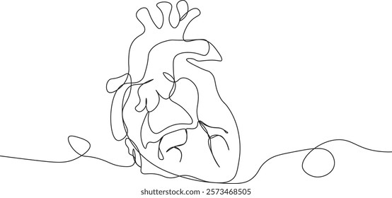 One continuous line drawing of human heart organ. single line of human heart concept illustration.  editable outline
