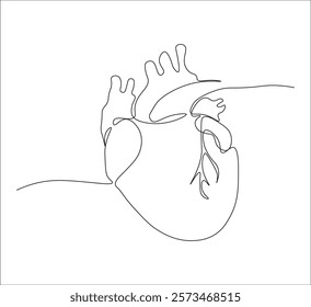 One continuous line drawing of human heart organ. single line of human heart concept illustration.  editable outline
