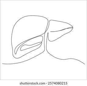 One continuous line drawing of human liver organs. single line of liver drawing.  illustration of liver anatomy concept. editable outline