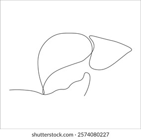 One continuous line drawing of human liver organs. single line of liver drawing.  illustration of liver anatomy concept. editable outline